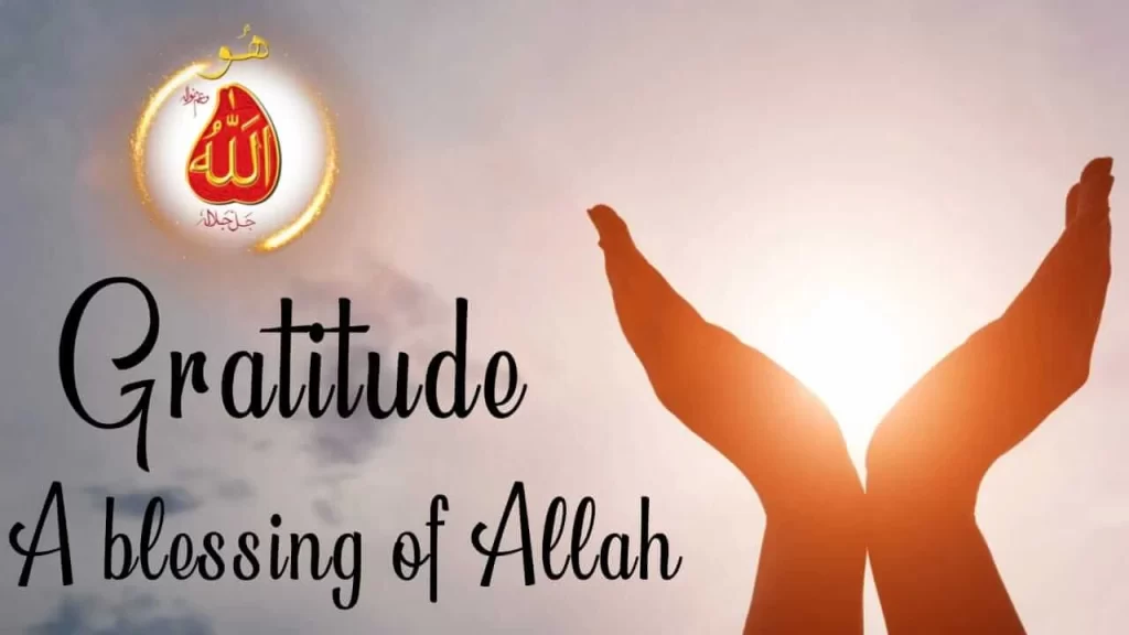 Gratitude - A blessing of Allah