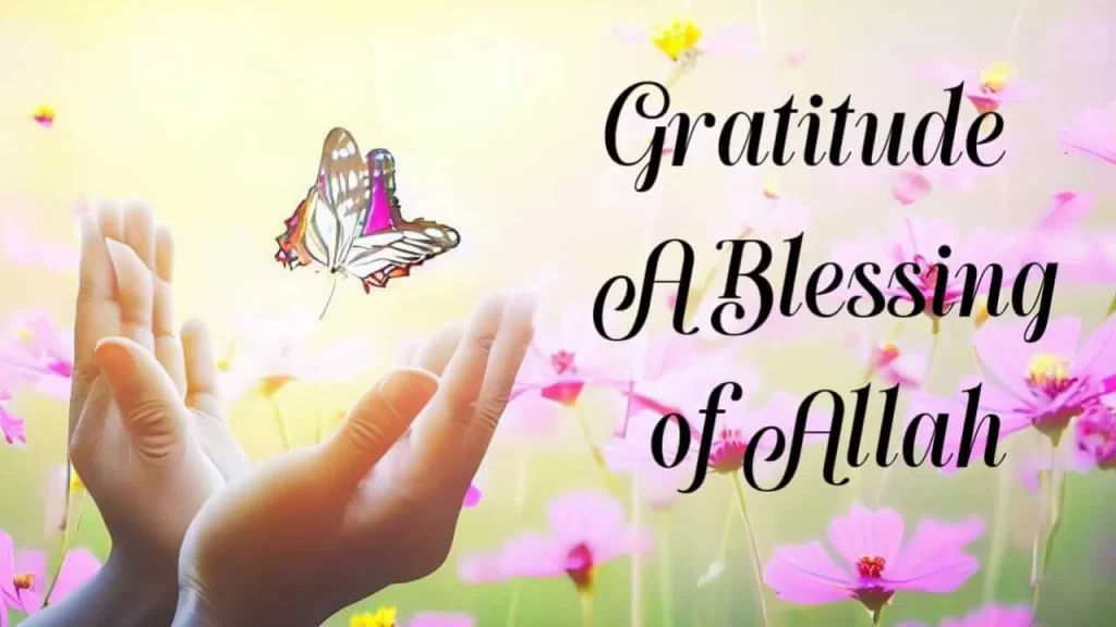 Gratitude- A Blessing of Allah