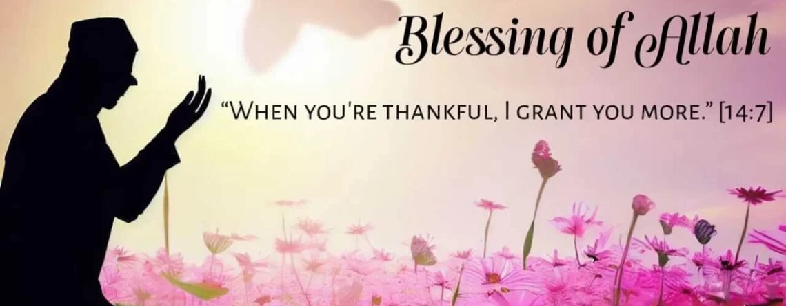 Gratitude- A Blessing of Allah