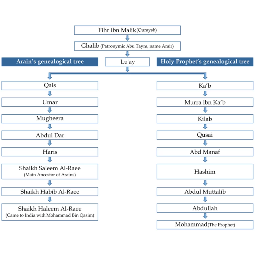 Genealogical tree of Arains