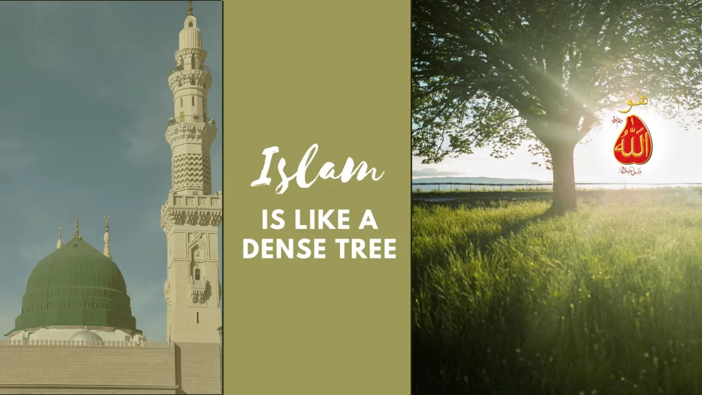 Islam is like a dense tree