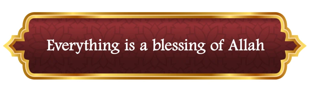 Everything is a blessing of Allah